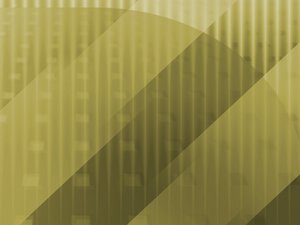 GitLab项目管理的核心要点